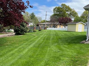 Maryjane L.'s lawn care services service result