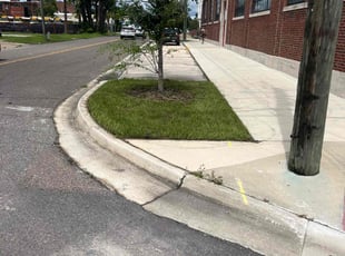 Donna S.'s turf care service result