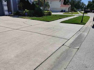 Paul S.'s lawn maintenance service result