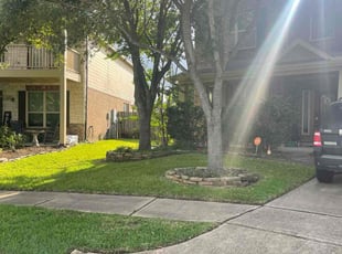 Glenn M.'s lawn care service result