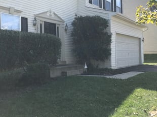 Lindsay L.'s Bush Trimming service result