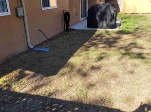 Abriana N.'s turf care service result