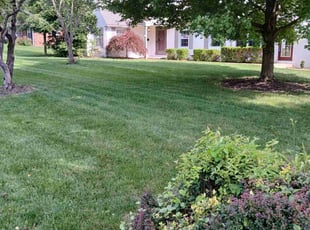 David R.'s turf care service result
