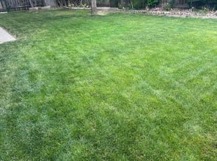 Carlee F.'s lawn care services service result