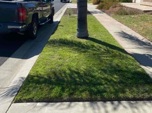 Hermine M.'s lawn service service result