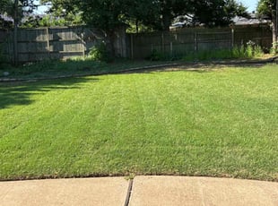 Gloria L.'s lawn care service result