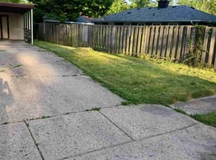 Teresa W.'s Long Grass Cleanup service result