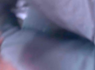 Shannon W.'s Bush Trimming service result