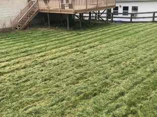 Cheryl J.'s Long Grass Cleanup service result
