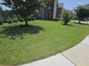 Bennett H.'s lawn maintenance service result