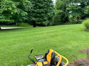 Asia M.'s gardening service service result