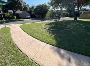 Alison M.'s lawn service service result
