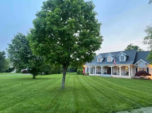 Conner M.'s yard service service result