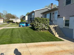 Tammi C.'s lawn care service result