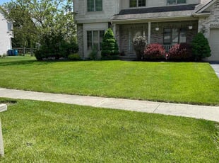 James L.'s turf care service result