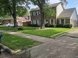 Darrel W.'s Long Grass Cleanup service result