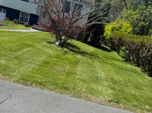 Yuhan L.'s lawn care services service result