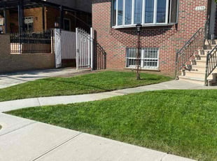 Debra M.'s lawn care services service result