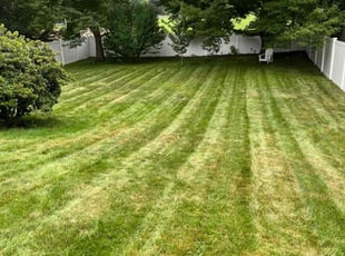 Mr B.'s lawn maintenance service result
