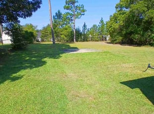 Minh N.'s lawn care service result