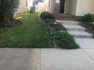 Bri B.'s grass cutting service result