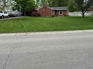 Alexandra L.'s lawn maintenance service result