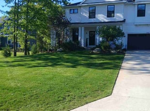 Steve V.'s lawn maintenance service result