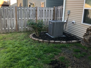 Traci P.'s Bush Trimming service result