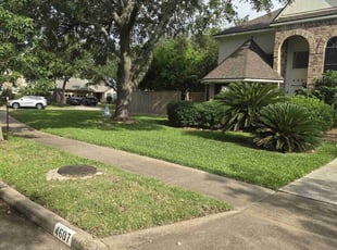 Darla L.'s lawn care services service result