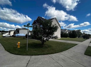 Joseph W.'s yard service service result