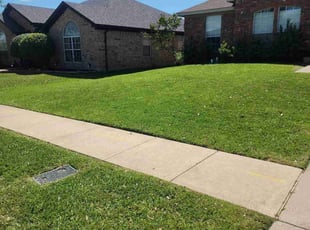 Jyothishwar S.'s lawn care service result