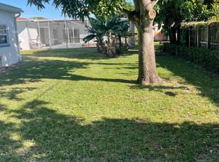 Lauren P.'s grass maintenance service result