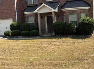 Chad L.'s Bush Trimming service result