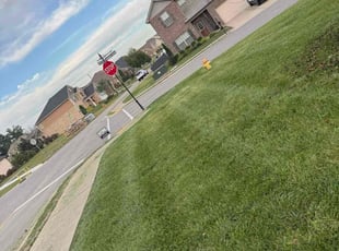 Yonrawee P.'s lawn service service result