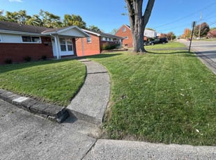 Joshua W.'s lawn care service result