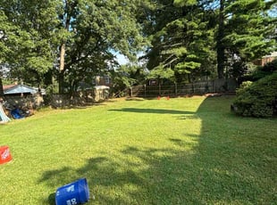 Jose N.'s turf maintenance service result