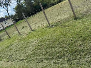 Falila A.'s turf care service result