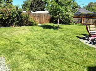Gavin B.'s lawn care service result