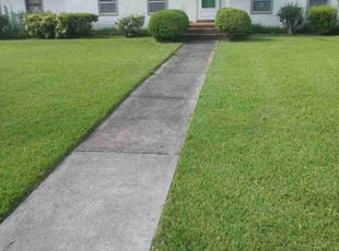 William M.'s turf maintenance service result