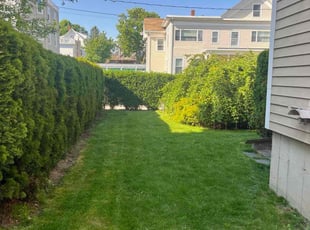 Katie N.'s lawn care services service result