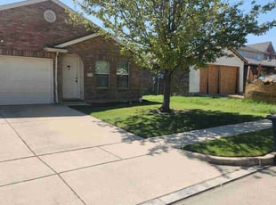 Teri R.'s turf maintenance service result