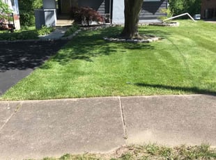 Christina L.'s Long Grass Cleanup service result