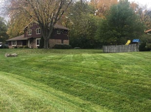 John S.'s grass maintenance service result
