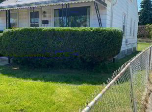 Denise T.'s Bush Trimming service result