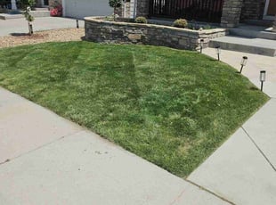 Rhonda S.'s lawn service service result