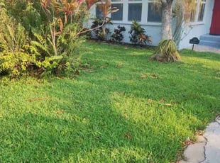 Kaydeen H.'s lawn maintenance service result