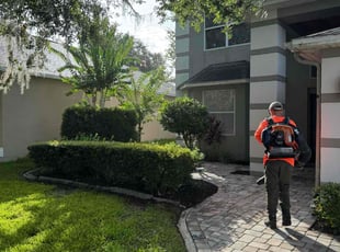 Rob A.'s grass cutting service result