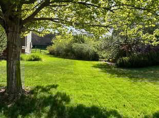 Kristina D.'s turf maintenance service result