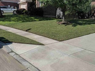 Sarah O.'s lawn maintenance service result