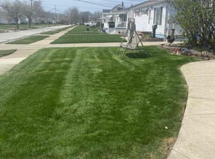 Juliet G.'s turf maintenance service result